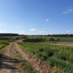 Skrývka ornice pro archeolog. průzkum - 5/19 - 3 Skrývka ornice pro archeolog. průzkum - 5/19 - 3